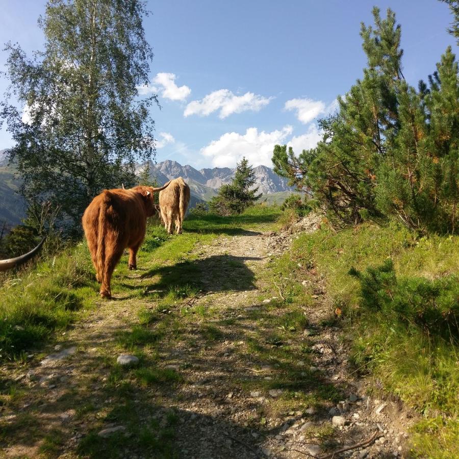 Stier Apartment Sankt Anton am Arlberg Buitenkant foto