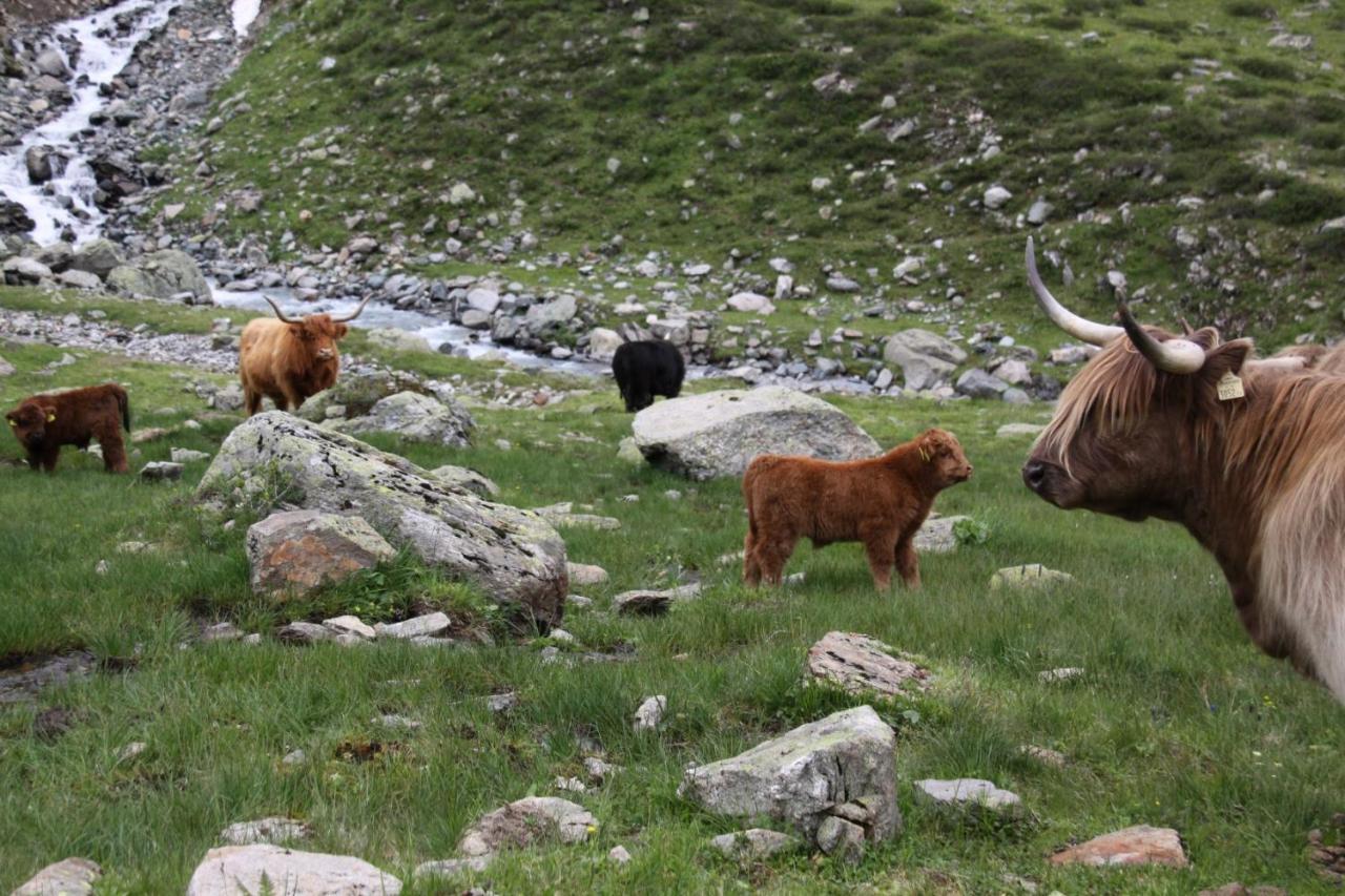 Stier Apartment Sankt Anton am Arlberg Buitenkant foto
